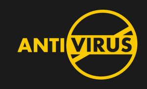 Read more about the article What Is Malware?